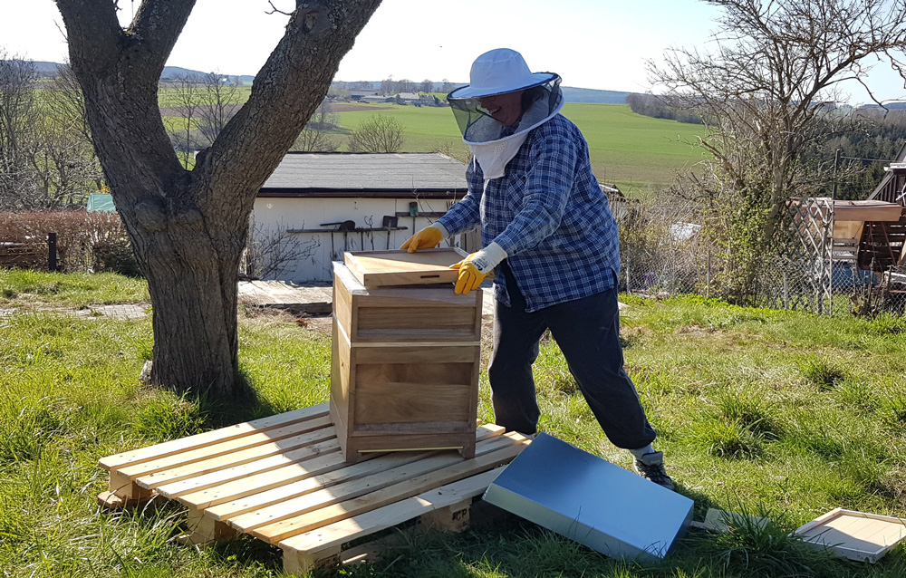 Neue Bienen in unsere Gartenanlage Naturheilverein Zschorlau e.V.
